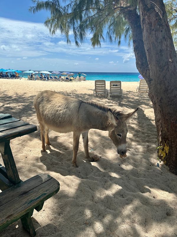Grand Turk, Turks & Caicos