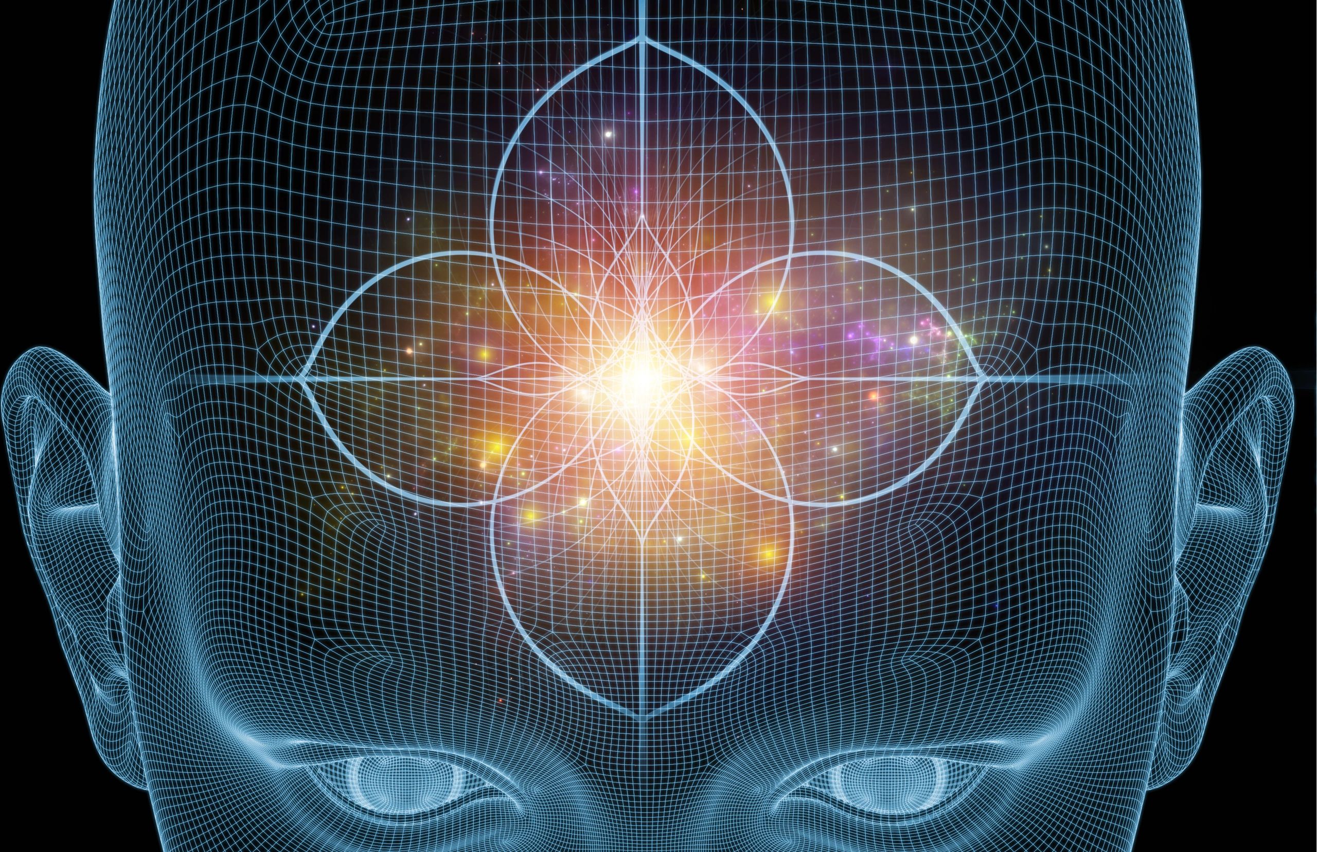 The Reticular Activating System: Your Brain's Goal Filter