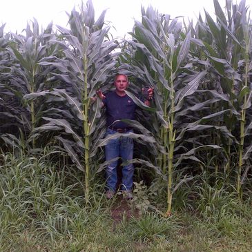 Glenn standing in field corn