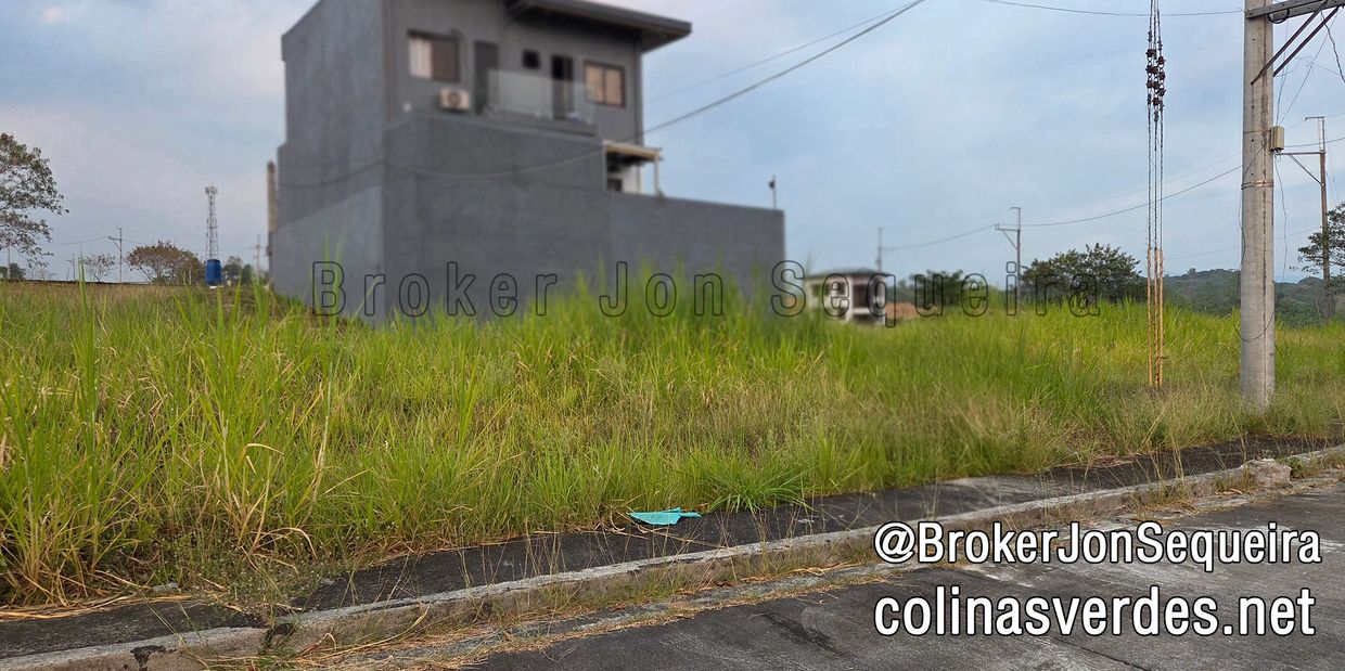Empty grassy lot with a gray building in the background under a cloudy sky.