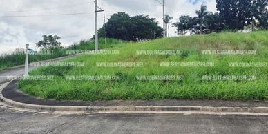 308 sqm Lot For Sale at Colinas Verdes