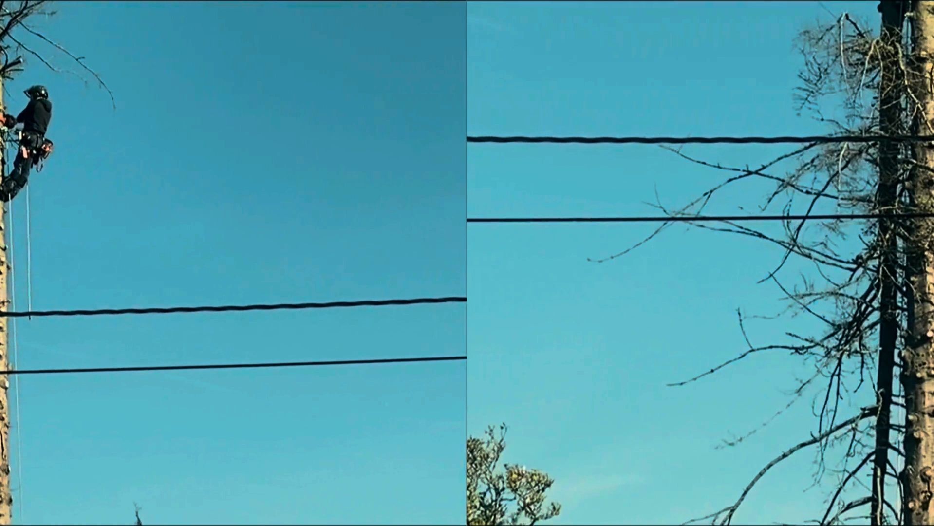 https://img1.wsimg.com/isteam/ip/a23861e2-a8fc-4238-bbd9-0f476b559320/thumbnails/thumbnail-bcb00c92-5a8a-414f-a951-05ad85bdda3d.png
