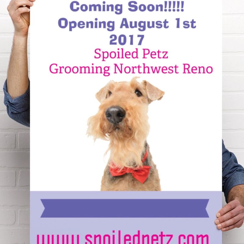 Spoiledpetz In Northwest Reno Spoiledpetz