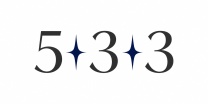 533 Consulting & Advisory