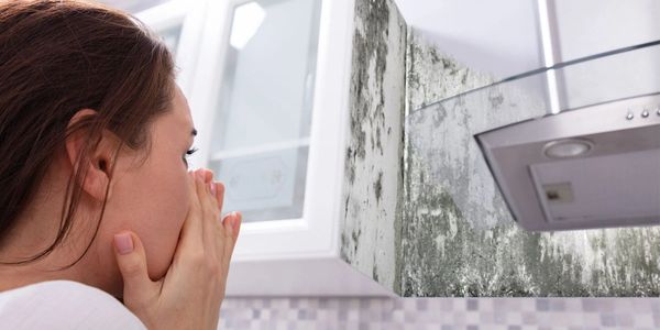 Mold Growth In Kitchen