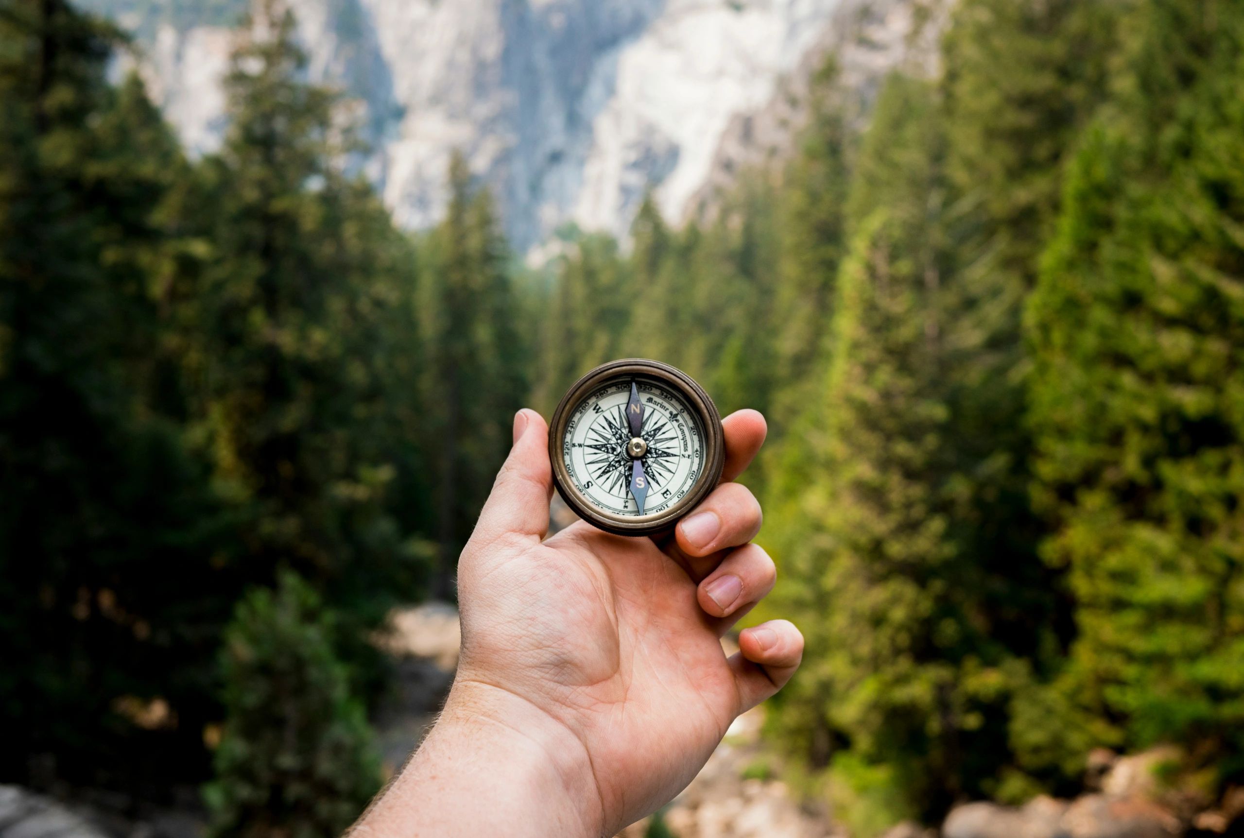 Photo by Jamie Street on Unsplash
person-holding-compass-facing-towards-green-pine-trees-_94HLr_QXo8