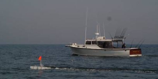 How to Troll with Planer Boards, Chesapeake Bay, Striped bass