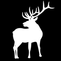 Bulltail Ranch

牛尾牧場