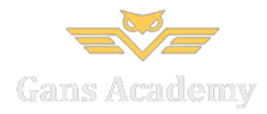 gans-academy.com