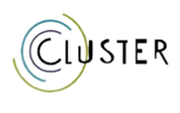 Cluster
