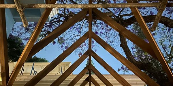 Wooden roof frame with tree branches and blue sky.