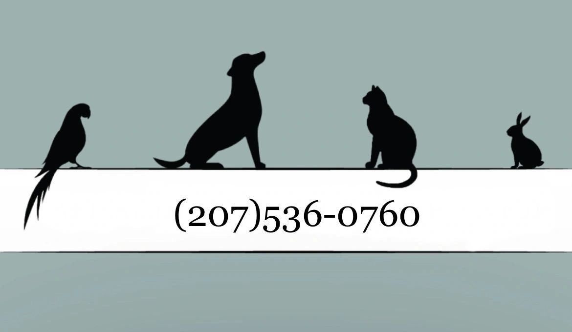 All Animal Training & Behavior