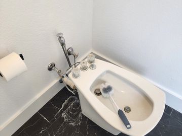 A bidet with a brush resting inside, located next to a toilet paper holder.