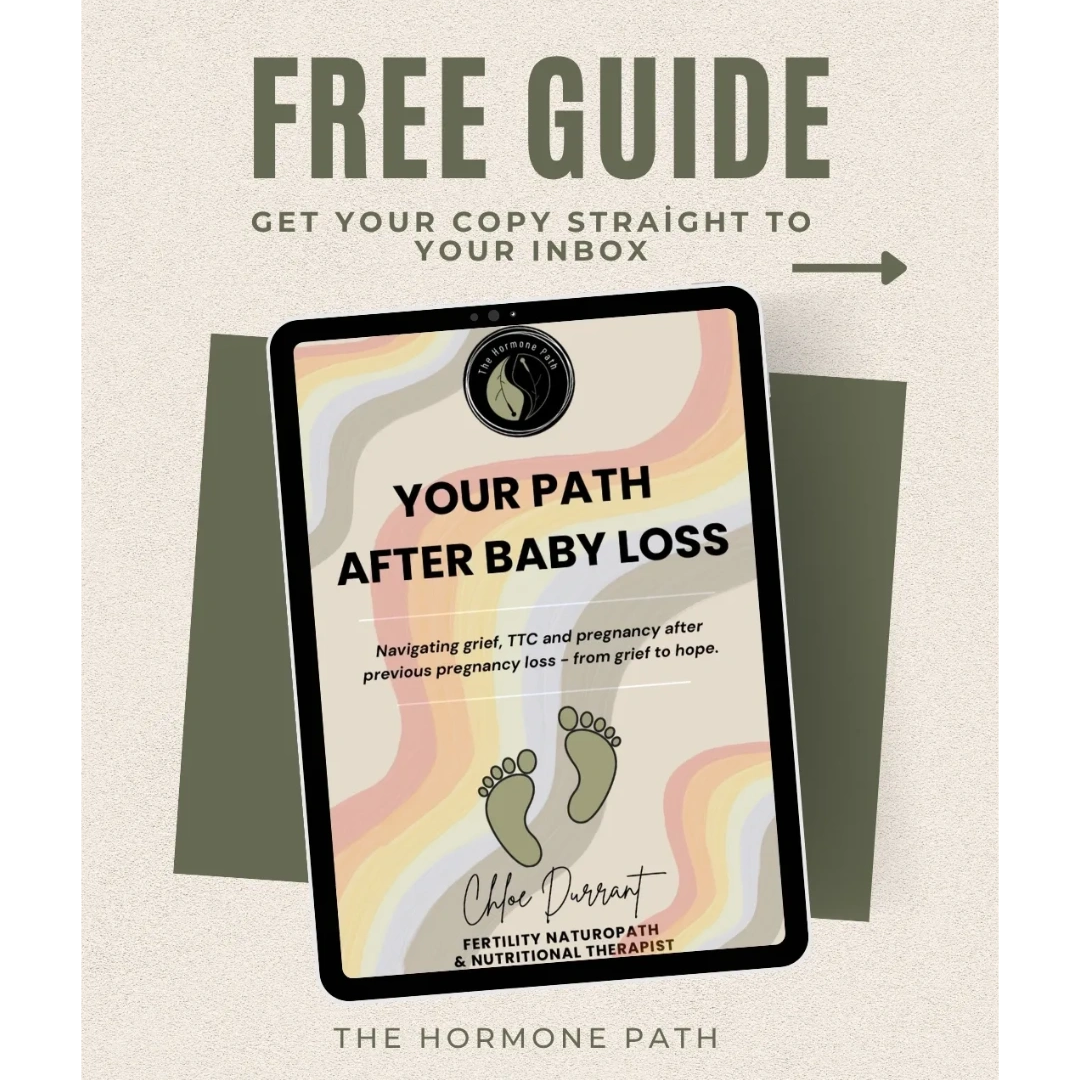 pregnancy loss miscarriage free guidance baby loss TTC after loss pregnancy after loss