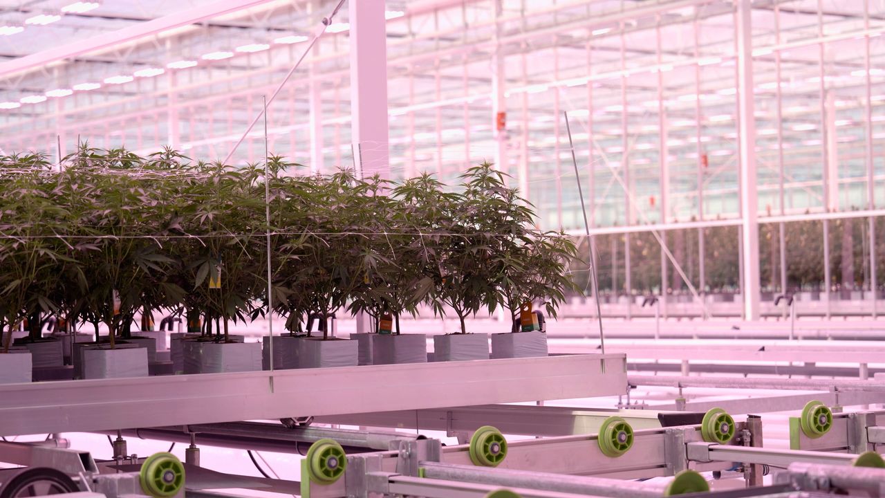 Glass Pharms Reaches 1000th Batch Milestone