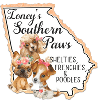 Ioney's Southern Paws Shelties and Frenchies
