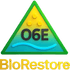 O6E Global