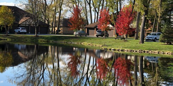 Autumn trees reflecting on a calm pond in a suburban neighborhood.