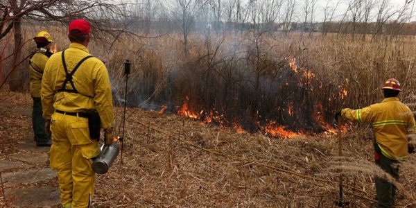 Prescribed Fire