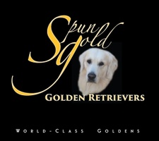 Spun Gold
World-Class Goldens