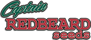 Captain Red Beard Seeds