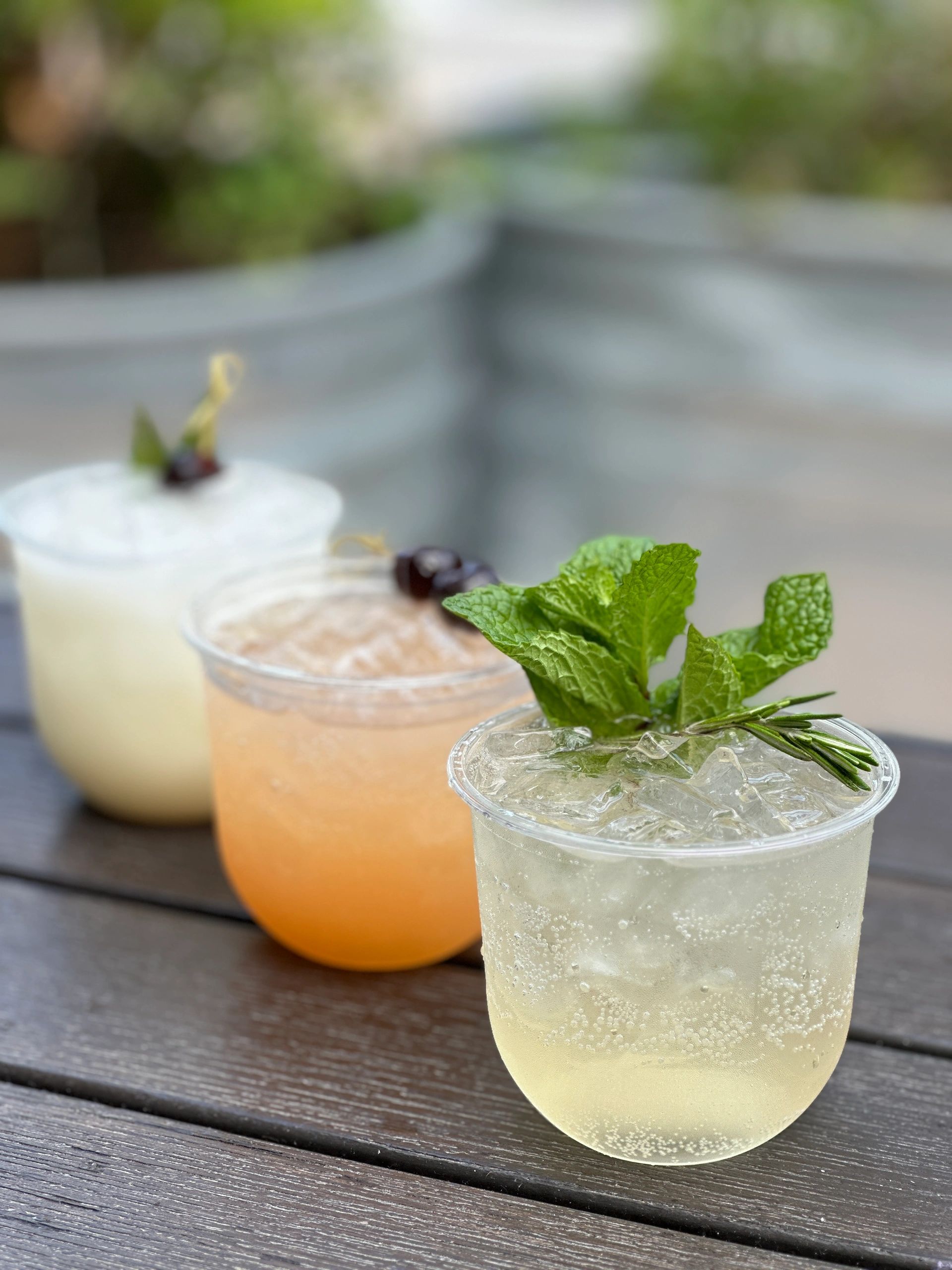 Hire Bartender or mobile bar for Private Event Well Shaken