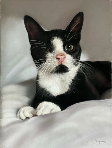 Pastel pencil portrait of beautiful Uno 