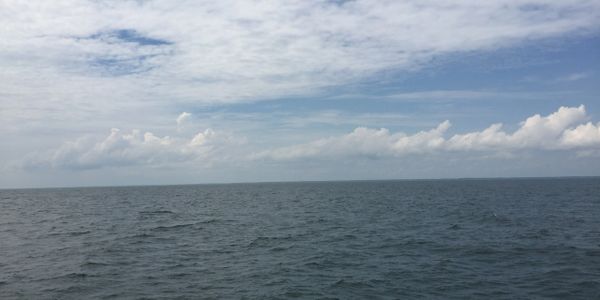 Off the Coast of South Carolina