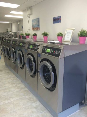 Row of modern washing machines in a clean laundromat with pink potted plants.