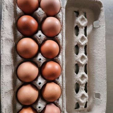 A carton holding a dozen brown eggs in two rows.