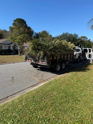 Truck with a trailer full of green plants on a suburban street.