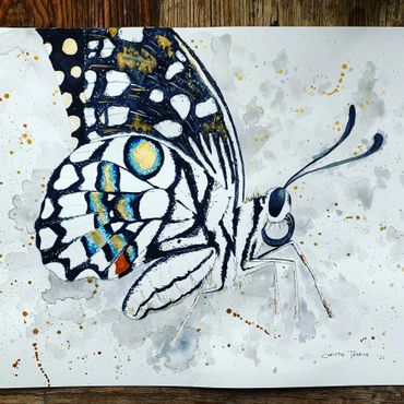 An original swallowtail butterfly watercolour using Winsor & Newton paints on 300g  quality hot pres