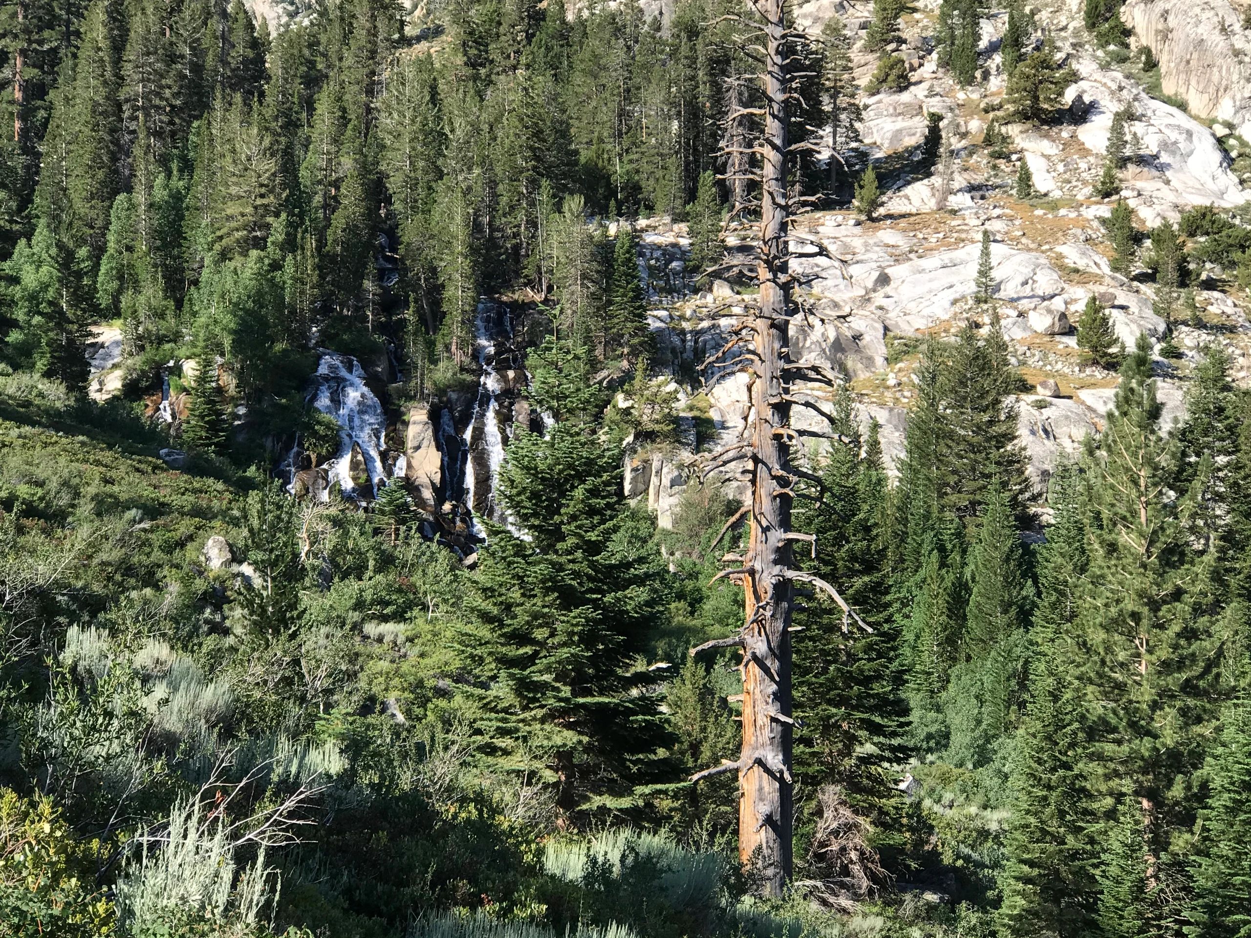 Moore Bridgeport Rentals