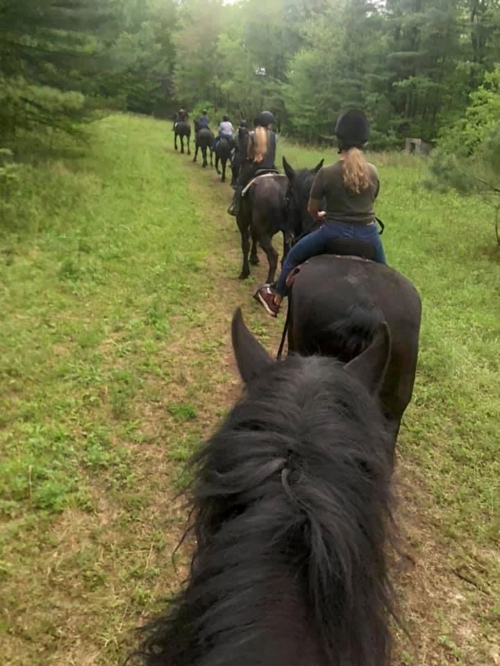 1 Hour Guided Trail Ride, a ride for 1