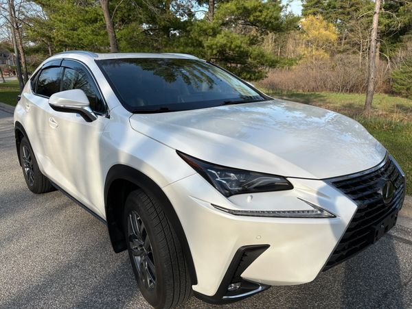 White Lexus NX parked on a road with trees in the background.