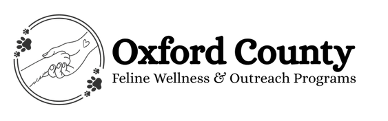 Woodstock Kitten Nursery & Rescue