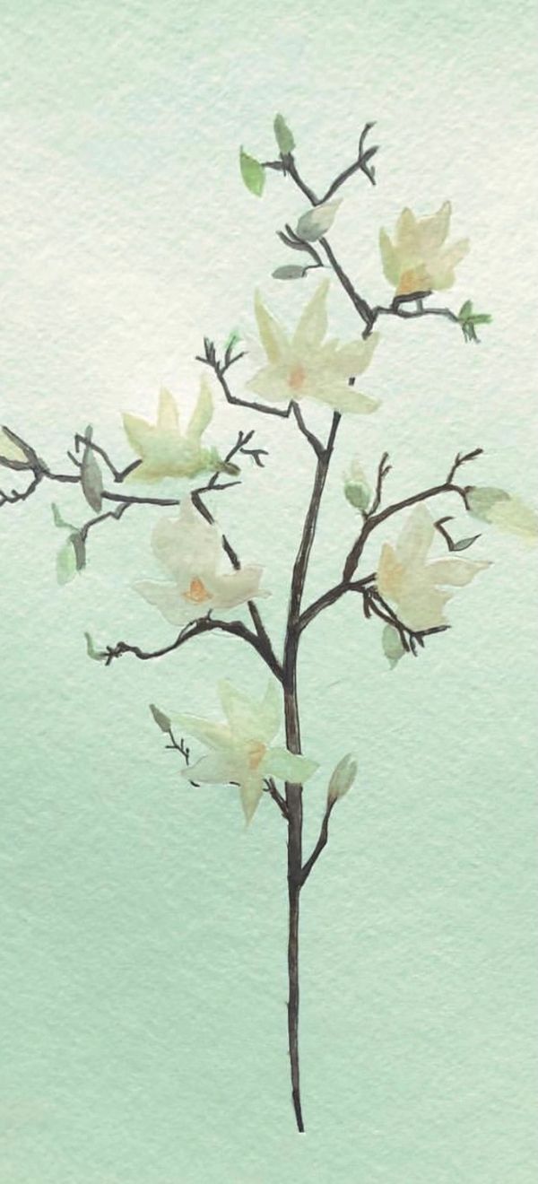 “Stems and blossoms”
Watercolour on paper
11” x 14”