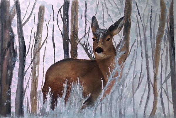 “Winter wildlife no, 4”
Watercolour on paper
11” x 14”