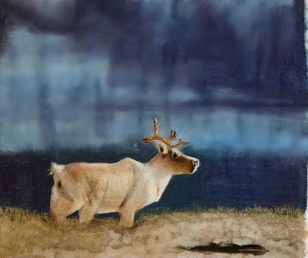 “Coastal caribou”
Watercolour on paper
11” x 14”