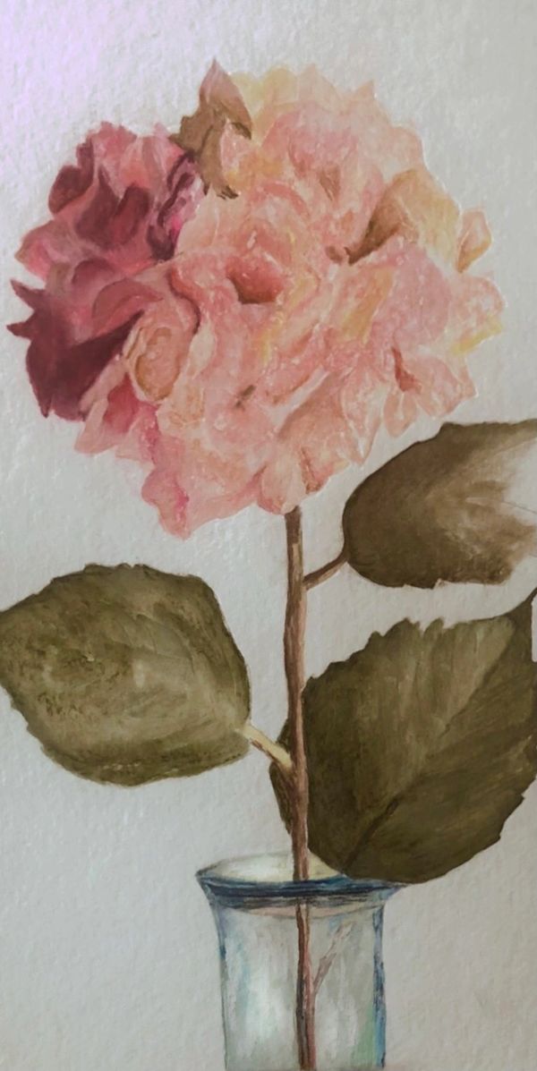 “Backyard hydrangea”
Watercolour on cotton paper
8” x 16”