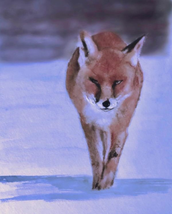 “Winter wildlife no. 3”
Watercolour on paper
11” x 14”