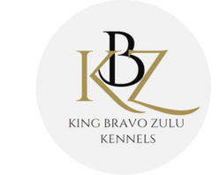 KBZ Kennels