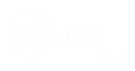 Luxx Cleaning Company