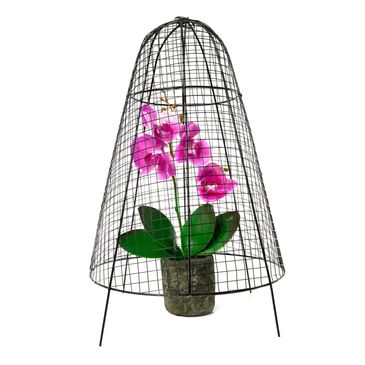 plant cloche , garden cloches , wire plant protector 