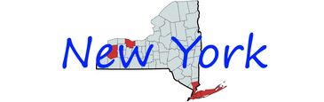 Map of New York State with highlighted counties and blue text.