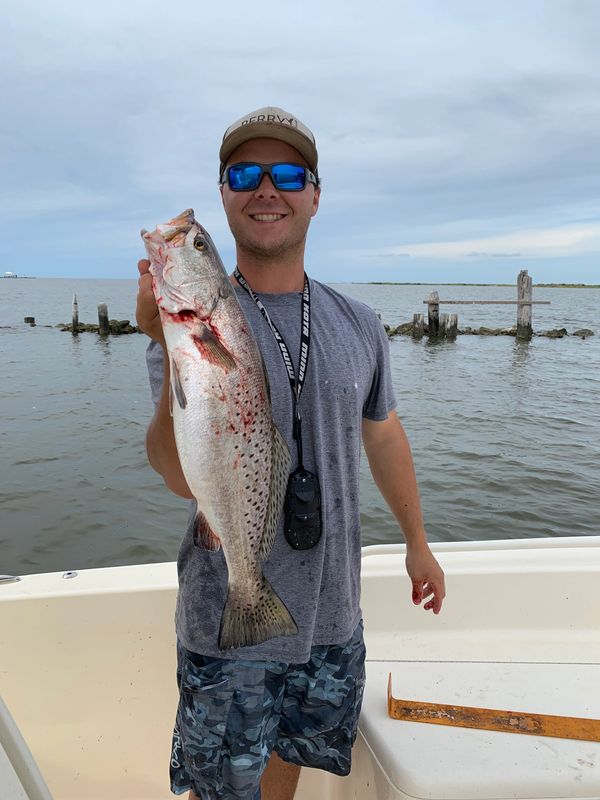 Speckled trout caught fishing near rocks.