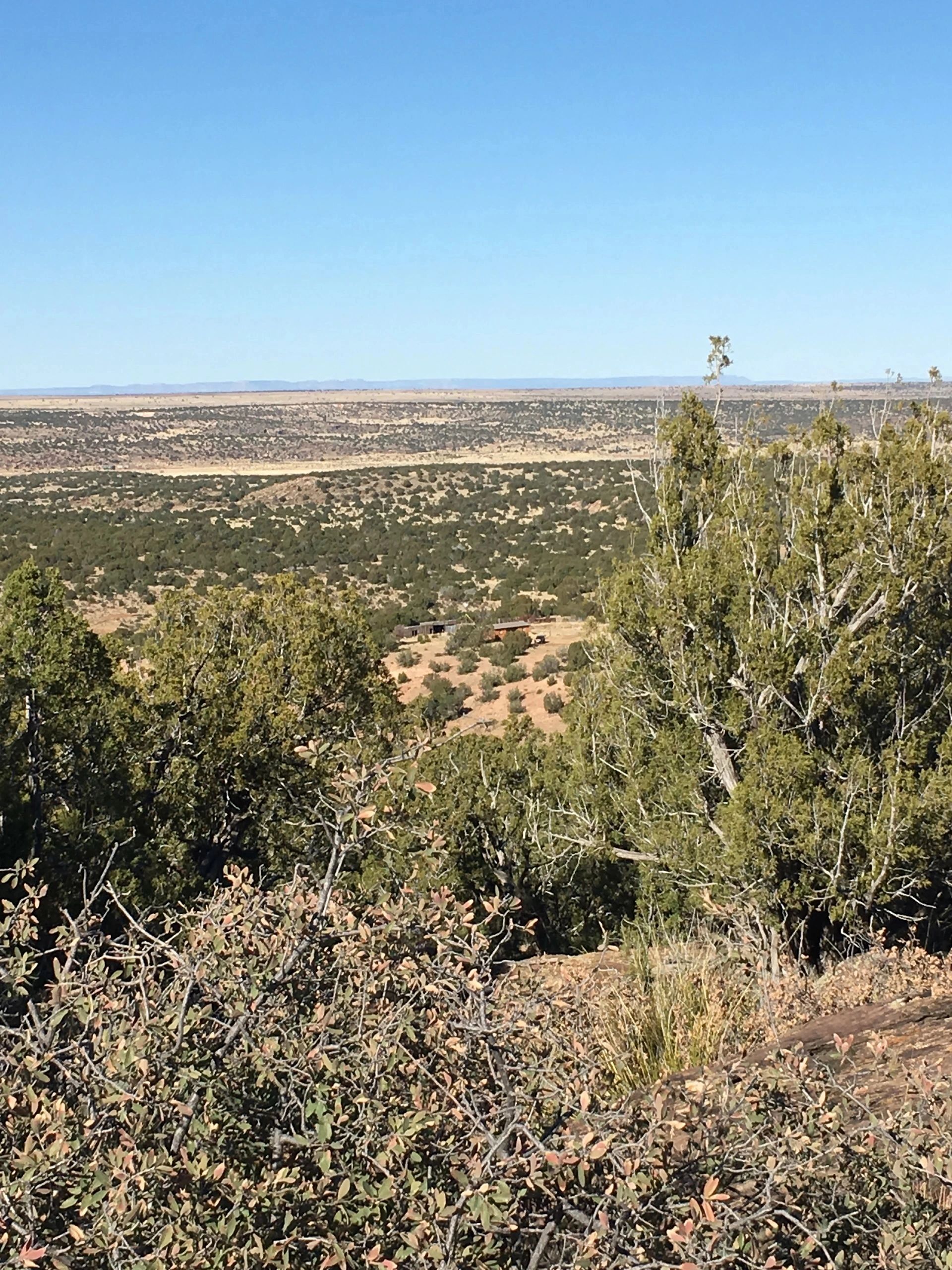 Pintada Ranches