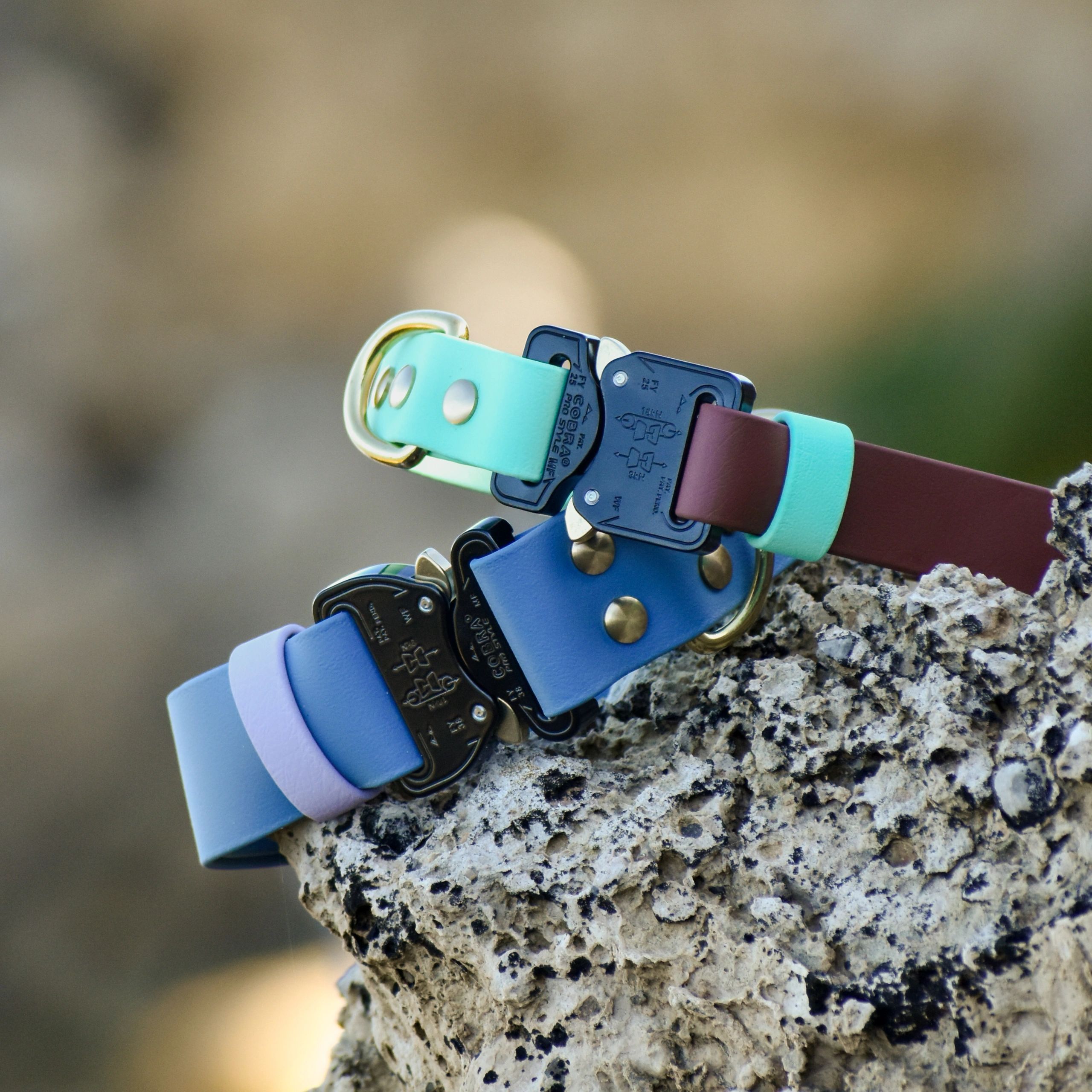 Coastal Collars Dog Collars, Dog Collars, Pet Store, Dog Leashes