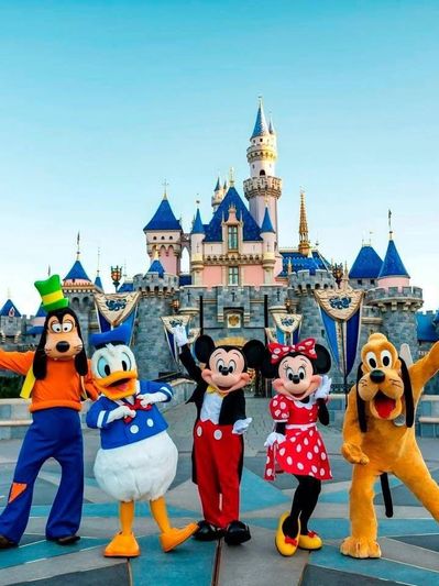 Disney bookings picture