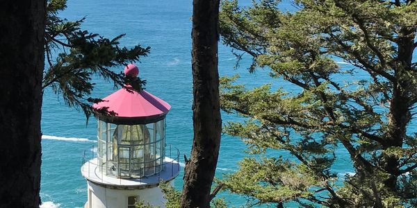 Lighthouse with a pink top by the ocean, framed by trees.
